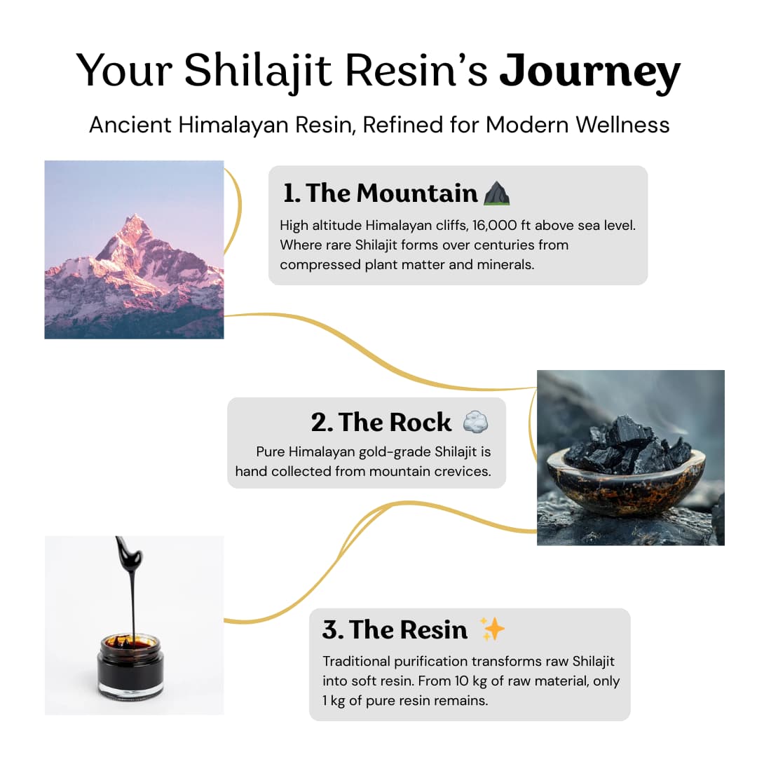 Unlock Peak Energy, Focus & Vitality